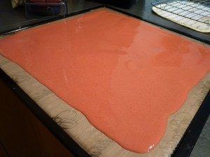 den Fruchtbrei auf eine parpaflexx Folie vom Dörrgerät und ca. 8 stunden bei 41 Grad trocknen