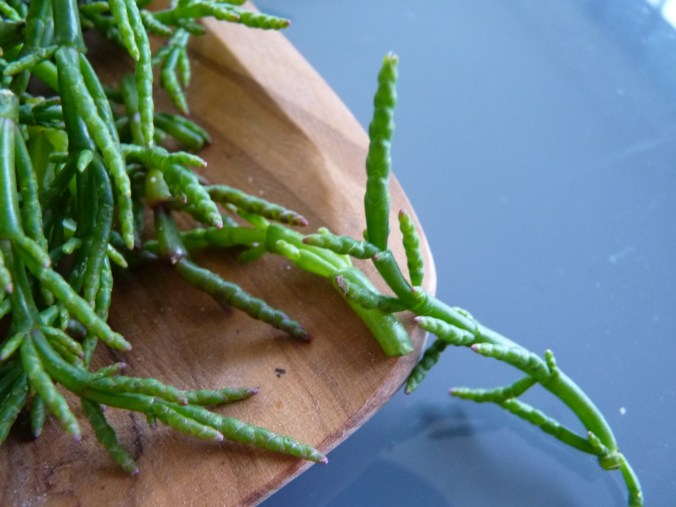 der Seespargel kann roh oder kurz gedünstet gegessen werden. hat einen leicht salzigen Geschmack und ist knackig.