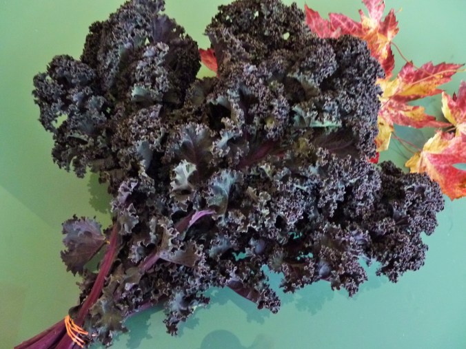 blauer Grünkohl, geht auch ist aber kein Blaukohl