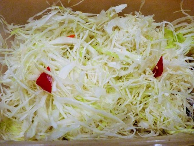 geschnittener oder gehobelter Weißkohl mit Salz und ein paar Stücke Chili