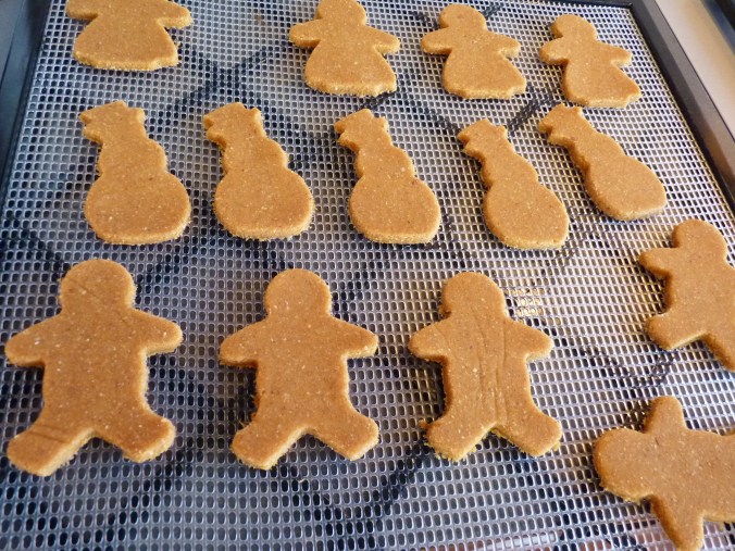 rohe Kekse auf einem Netz vom Dehydriergerät